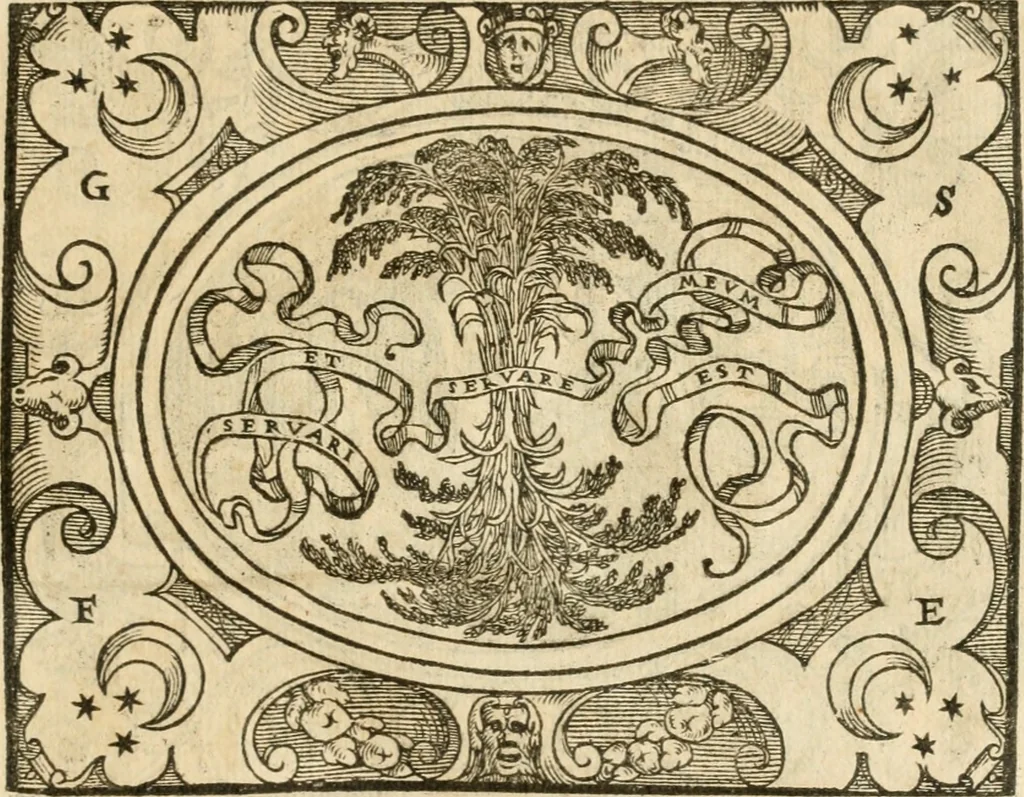 An illustration from Le sententiose imprese ; et, Dialogo, 1560, leaf 128