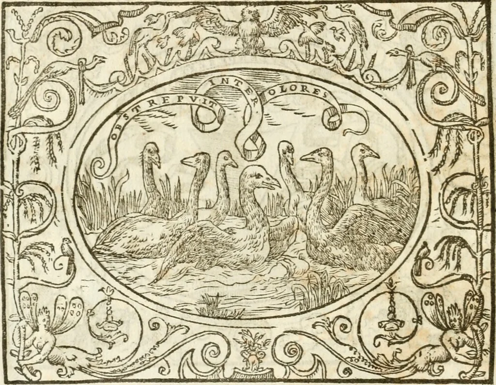 An illustration from Le sententiose imprese ; et, Dialogo, 1560, leaf 145