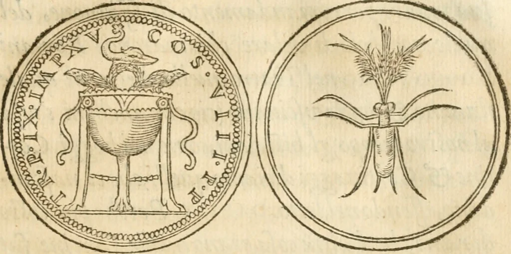 An illustration from Le sententiose imprese ; et, Dialogo, 1560, leaf 248