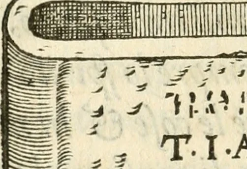 An illustration from Le sententiose imprese ; et, Dialogo, 1560, leaf 335