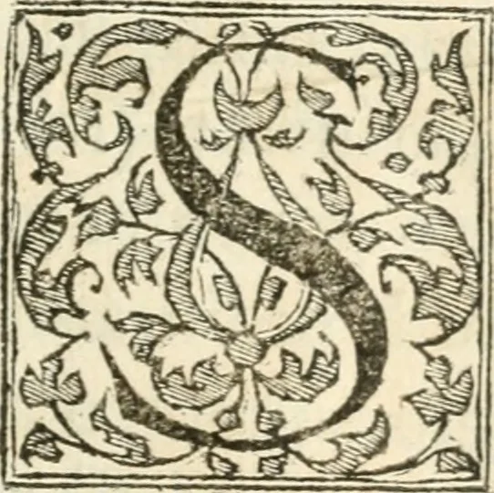 An illustration from Le sententiose imprese ; et, Dialogo, 1560, leaf 6