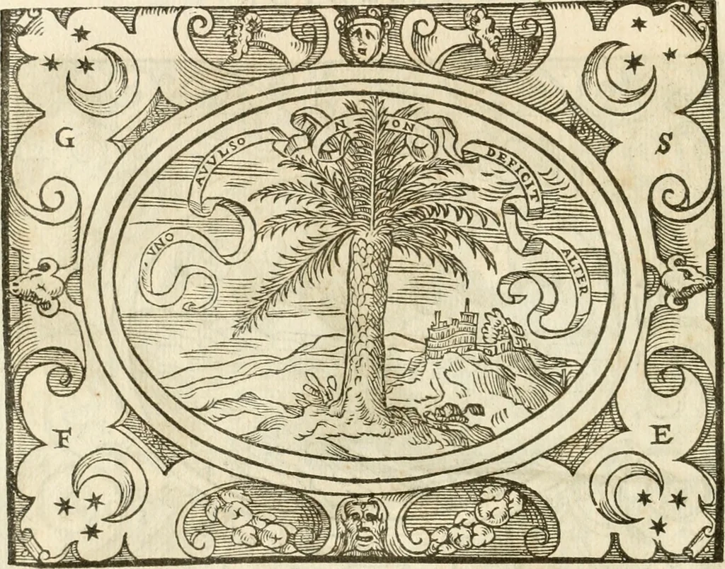 An illustration from Le sententiose imprese ; et, Dialogo, 1560, leaf 87