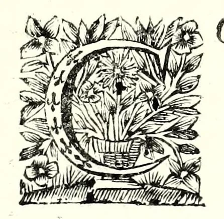 An illustration from L'esercizio accademico di picca, 1688, leaf 19