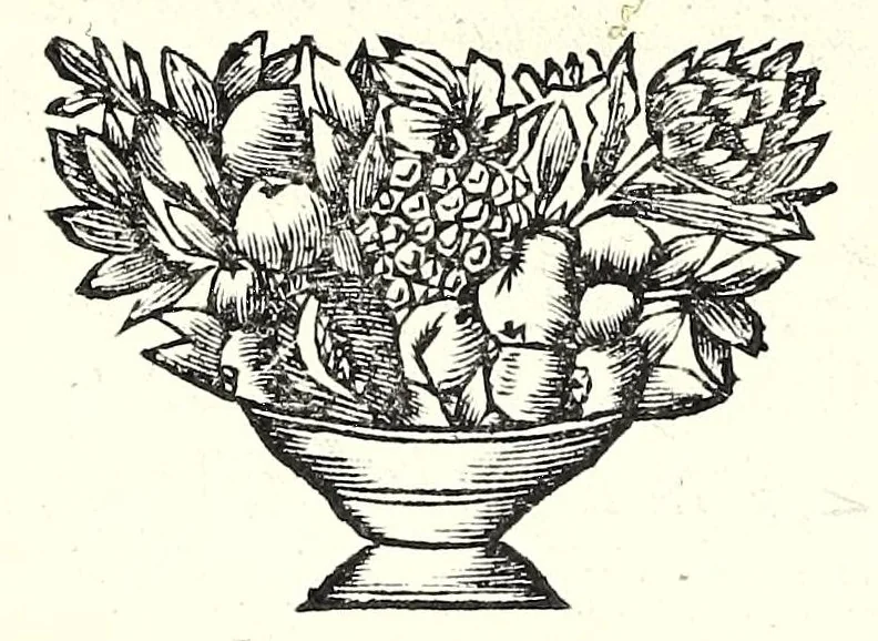 An illustration from L'esercizio accademico di picca, 1688, leaf 56