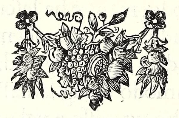 An illustration from L'esercizio accademico di picca, 1688, leaf 64