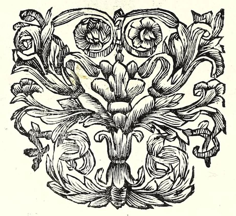 An illustration from L'esercizio accademico di picca, 1688, leaf 92