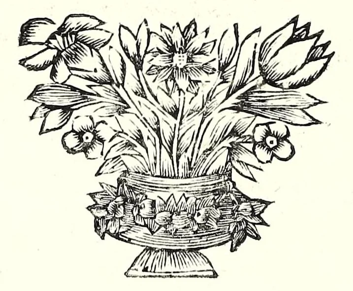 An illustration from L'esercizio accademico di picca, 1688, leaf 96