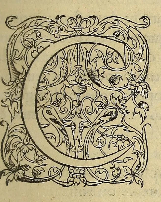 An illustration from Les essais de Michel seigneur de Montaigne, 1595, leaf 245