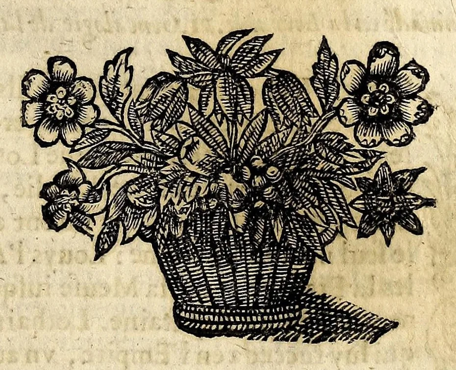 An illustration from Les estats, empires, et principautez du monde, representés par la description des pays, mœurs des habitans ... Auec l'origine de toutes les religions, & de tous les cheualiers & ordres militaires., 1644, leaf 351