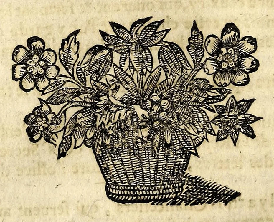 An illustration from Les estats, empires, et principautez du monde, representés par la description des pays, mœurs des habitans ... Auec l'origine de toutes les religions, & de tous les cheualiers & ordres militaires., 1644, leaf 662