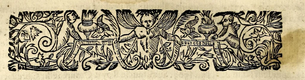 An illustration from Les estats, empires, et principautez du monde, representés par la description des pays, mœurs des habitans ... Auec l'origine de toutes les religions, & de tous les cheualiers & ordres militaires., 1644, leaf 916