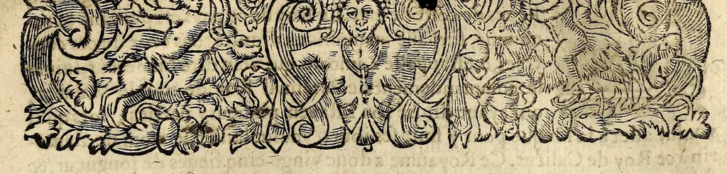 An illustration from Les estats, empires, et principautez du monde, representés par la description des pays, mœurs des habitans ... Auec l'origine de toutes les religions, & de tous les cheualiers & ordres militaires., 1644, leaf 935