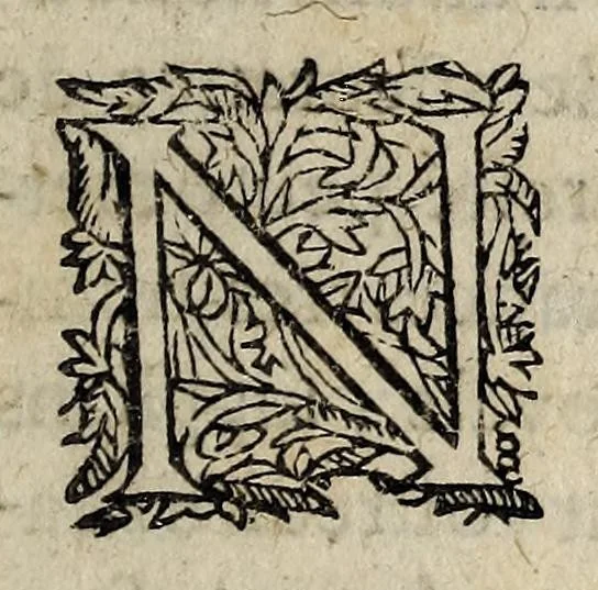 An illustration from Les estranges changemens, faicts en Allemaigne contre les ennemis de l'Empereur., 1621, leaf 7