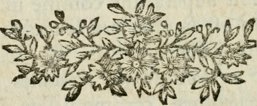 An illustration from Les fables égyptiennes et grecques : dévoilées & réduites au même principe, avec une explication des hiéroglyphes, et de la guerre de Troye, 1786, leaf 355