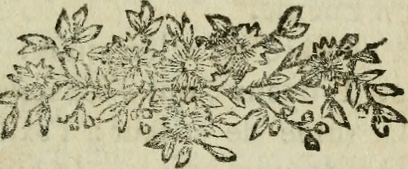 An illustration from Les fables égyptiennes et grecques : dévoilées & réduites au même principe, avec une explication des hiéroglyphes, et de la guerre de Troye, 1786, leaf 482
