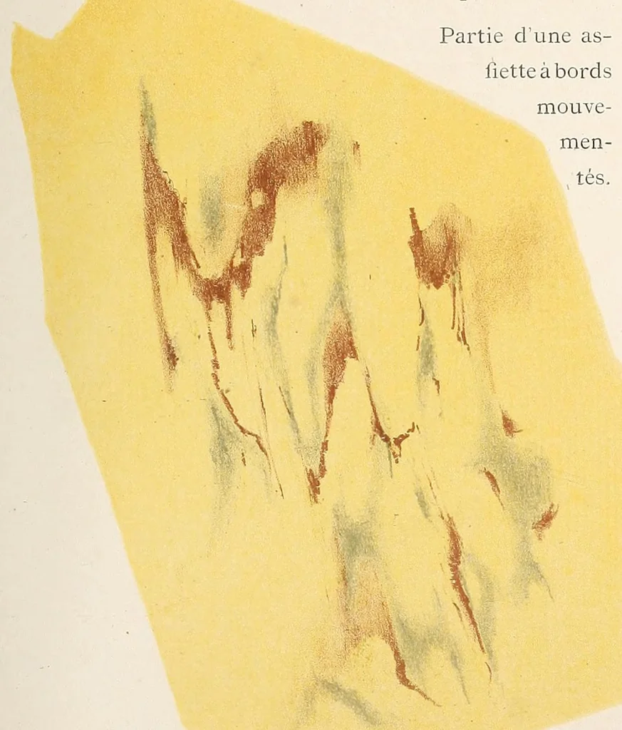 An illustration from Les faïences anciennes & modernes : leurs marques & decors, 1874, leaf 97