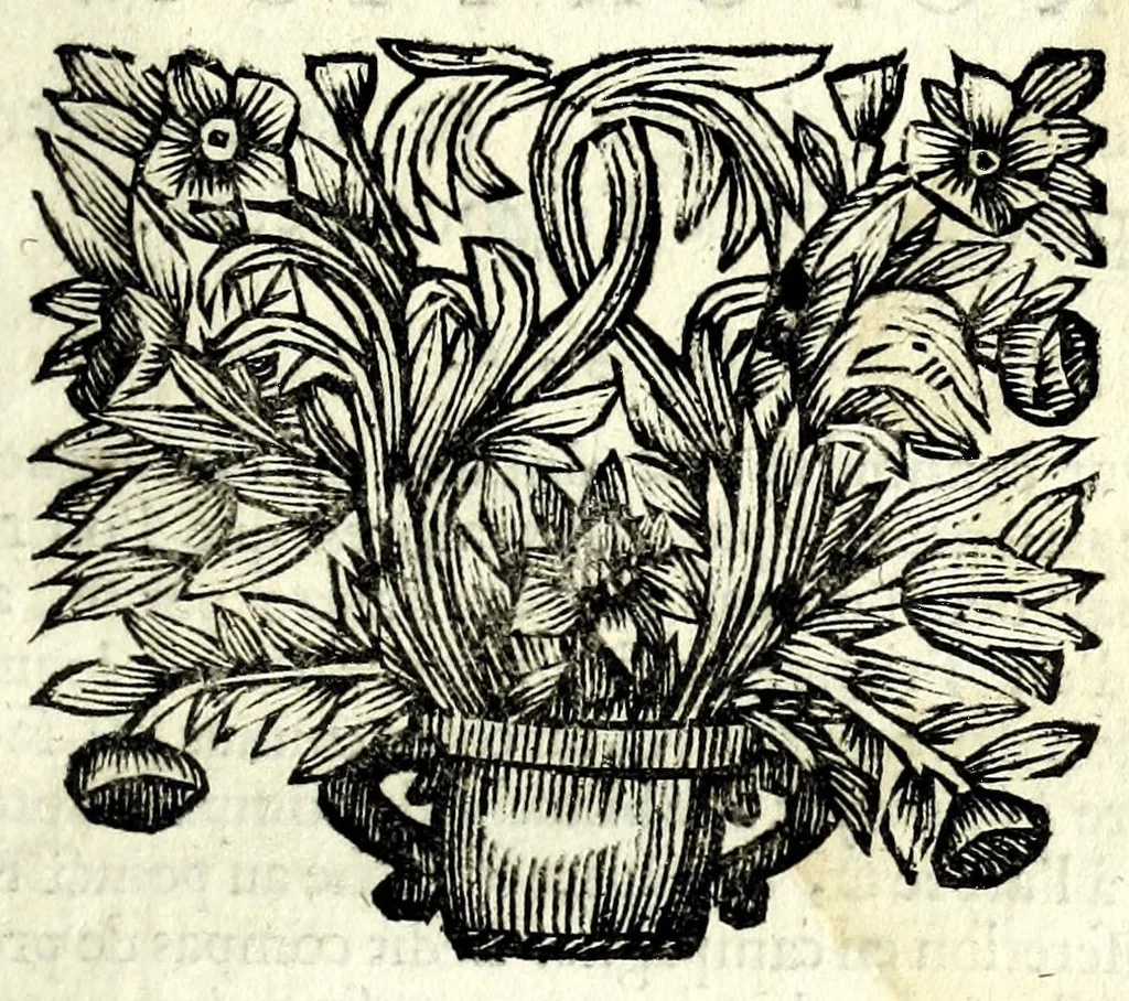 An illustration from Les fonctions de tous les officiers de l'infanterie : depuis celle du sergent jusques à celle du colonel : la fortification offensive & deffensive: la maniere de construire toutes sortes de places regulieres & irregulieres : l'usage du compas de proportion, le tout representé par figures : comme aussi les evolutions militaires, l'exercice du mousquet & de la pique, telles que le roi le fait faire à ses mousquetaires & à son regiment des gardes : & l'abbregé de toutes les ordonnances & reglemens que sa majesté a fait faire depuis 1651 jusques en 1667, et aussi le rang de tous les regimens de France, 1688, leaf 153