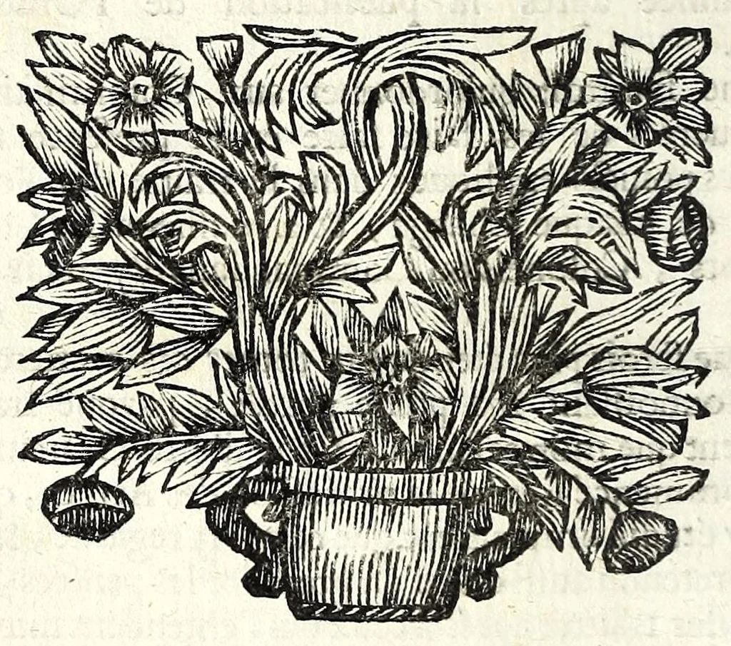 An illustration from Les fonctions de tous les officiers de l'infanterie : depuis celle du sergent jusques à celle du colonel : la fortification offensive & deffensive: la maniere de construire toutes sortes de places regulieres & irregulieres : l'usage du compas de proportion, le tout representé par figures : comme aussi les evolutions militaires, l'exercice du mousquet & de la pique, telles que le roi le fait faire à ses mousquetaires & à son regiment des gardes : & l'abbregé de toutes les ordonnances & reglemens que sa majesté a fait faire depuis 1651 jusques en 1667, et aussi le rang de tous les regimens de France, 1688, leaf 60
