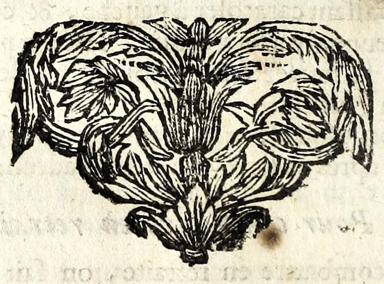 An illustration from Les fonctions du capitaine de cavalerie, & les principales de ses officiers subalternes : où les capitaines, les lieutenants, les cornettes, les maréchaux des logis, les brigadiers & les cavaliers même trouveront la maniere de s'acquitter de leurs devoirs dans chaque occasion, chacun suivant la fonction & le degré de sa charge, et par consequent de bien & fidellement servir le roy : avec un abregé des ordonnances & reglemens du roy pour la cavalerie, depuis l'année 1661 jusques en 1669 : et l'exercice de la cavalerie, 1688, leaf 118