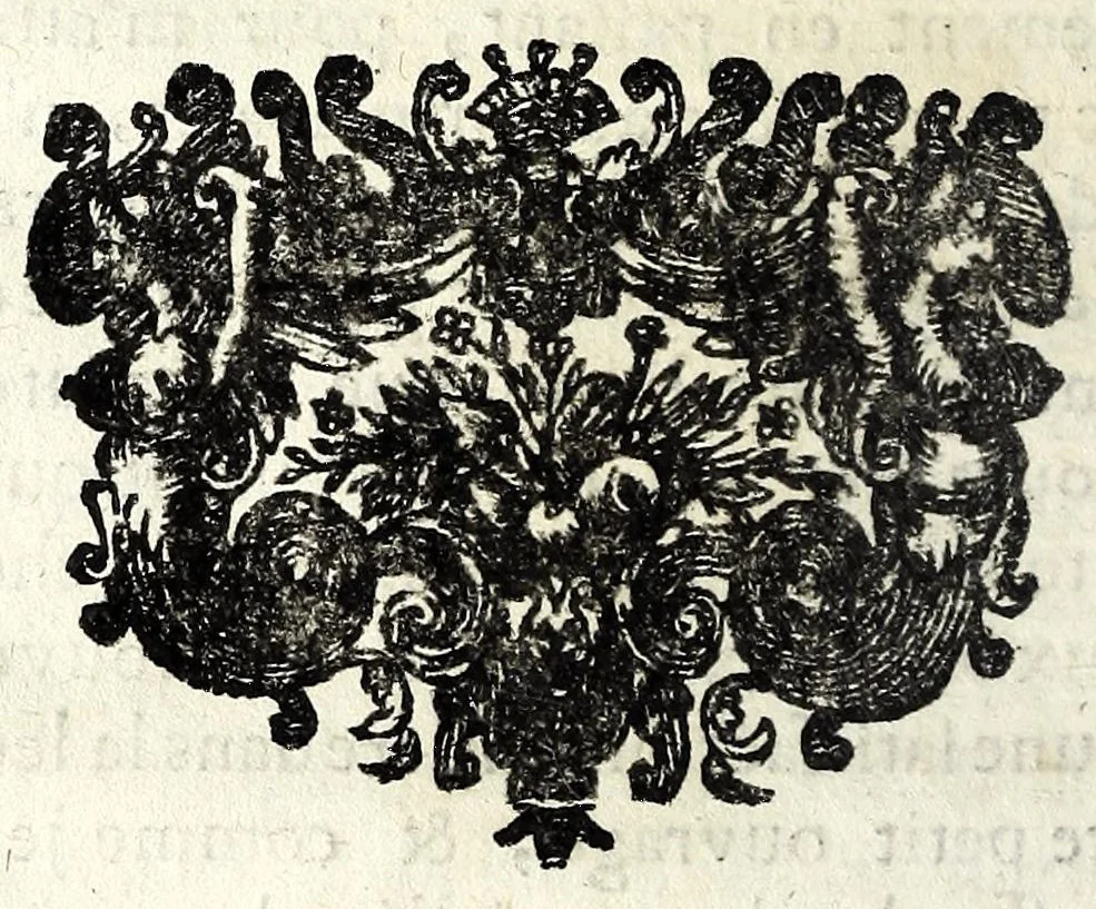 An illustration from Les fonctions du capitaine de cavalerie, & les principales de ses officiers subalternes : où les capitaines, les lieutenants, les cornettes, les maréchaux des logis, les brigadiers & les cavaliers même trouveront la maniere de s'acquitter de leurs devoirs dans chaque occasion, chacun suivant la fonction & le degré de sa charge, et par consequent de bien & fidellement servir le roy : avec un abregé des ordonnances & reglemens du roy pour la cavalerie, depuis l'année 1661 jusques en 1669 : et l'exercice de la cavalerie, 1688, leaf 12
