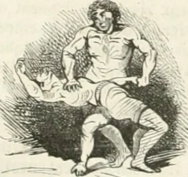 An illustration from Les Français peints par eux-mêmes, 1853, leaf 159