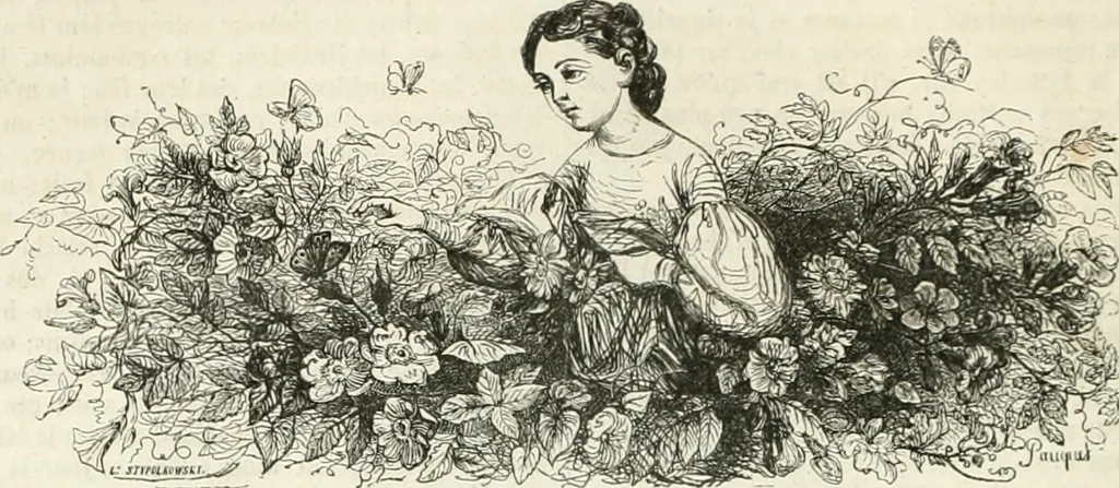 An illustration from Les Français peints par eux-mêmes, 1853, leaf 243