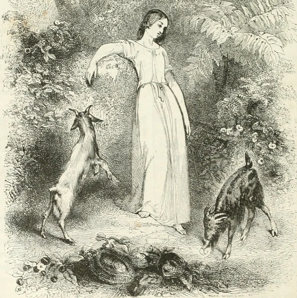 An illustration from Les Français peints par eux-mêmes, 1853, leaf 245