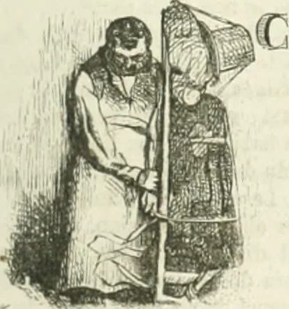 An illustration from Les Français peints par eux-mêmes, 1853, leaf 268