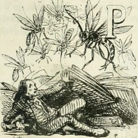 An illustration from Les Français peints par eux-mêmes, 1853, leaf 312