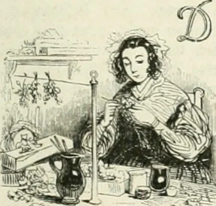 An illustration from Les Français peints par eux-mêmes, 1853, leaf 316