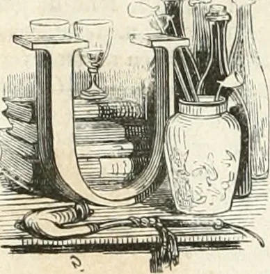 An illustration from Les Français peints par eux-mêmes, 1853, leaf 321