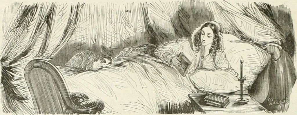 An illustration from Les Français peints par eux-mêmes, 1853, leaf 341