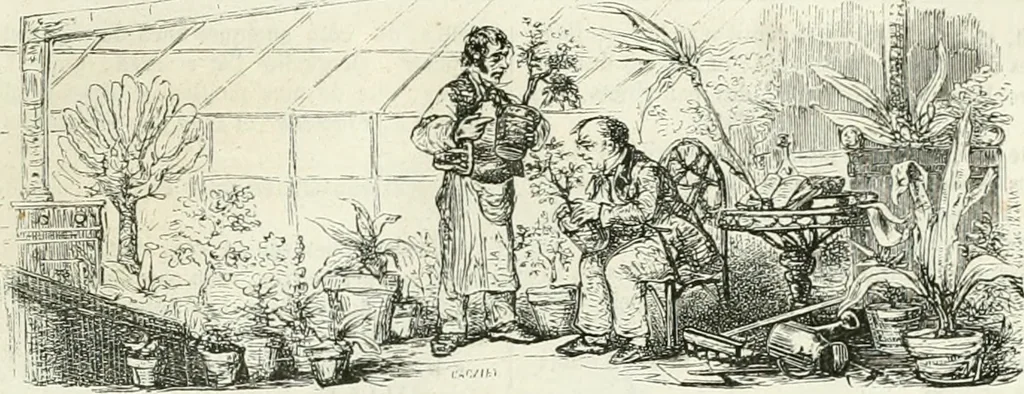 An illustration from Les Français peints par eux-mêmes, 1853, leaf 40