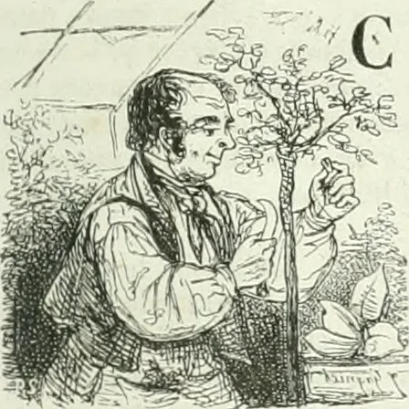 An illustration from Les Français peints par eux-mêmes, 1853, leaf 40