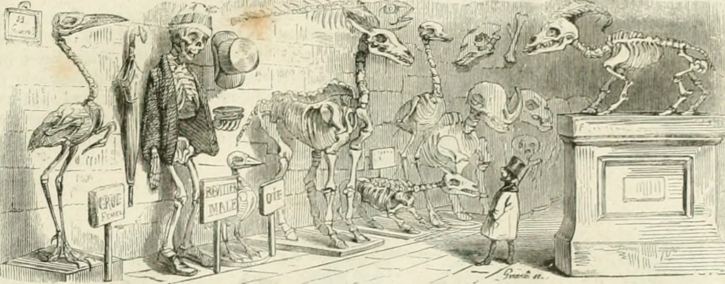 An illustration from Les Français peints par eux-mêmes, 1853, leaf 408