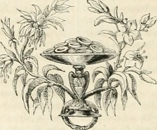 An illustration from Les Français peints par eux-mêmes, 1853, leaf 445