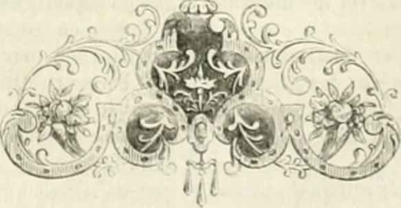 An illustration from Les Français peints par eux-mêmes, 1853, leaf 480