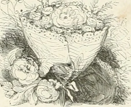 An illustration from Les Français peints par eux-mêmes, 1853, leaf 523