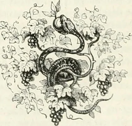 An illustration from Les Français peints par eux-mêmes, 1853, leaf 537