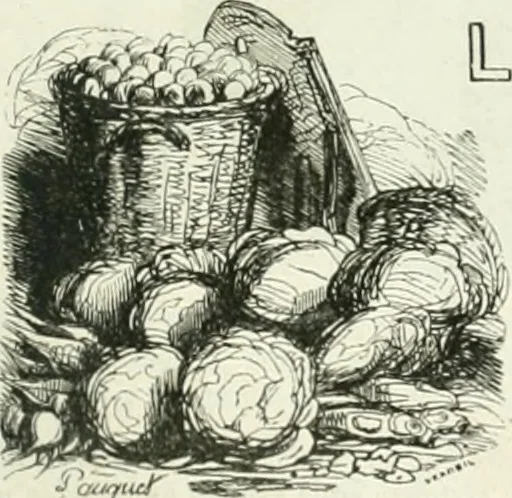 An illustration from Les Français peints par eux-mêmes, 1853, leaf 610