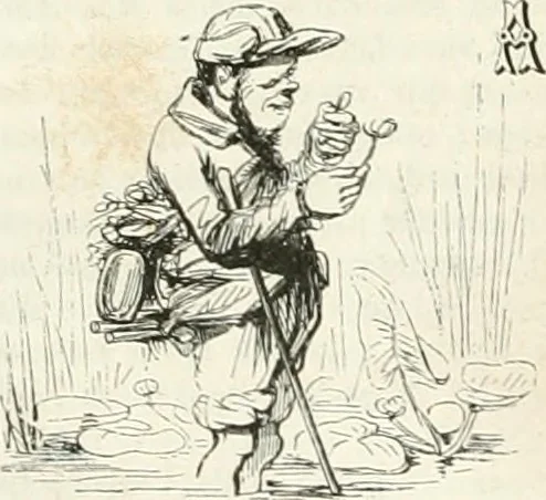 An illustration from Les Français peints par eux-mêmes, 1853, leaf 705