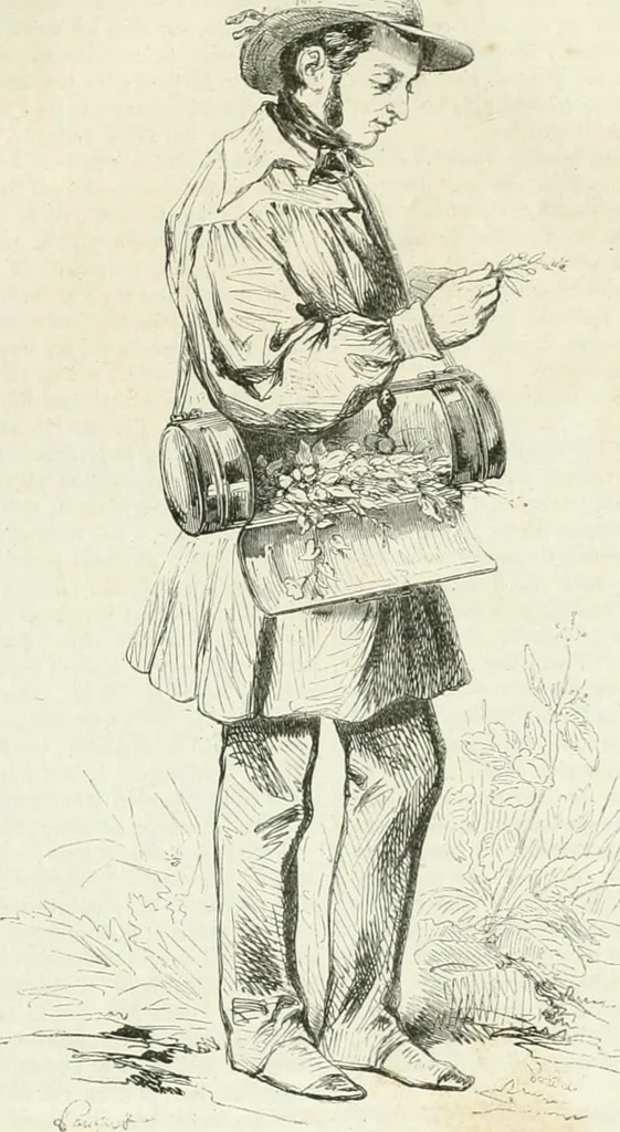 An illustration from Les Français peints par eux-mêmes, 1853, leaf 706