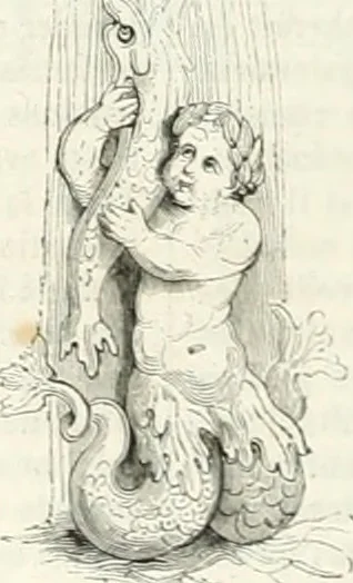 An illustration from Les Français peints par eux-mêmes, 1853, leaf 725