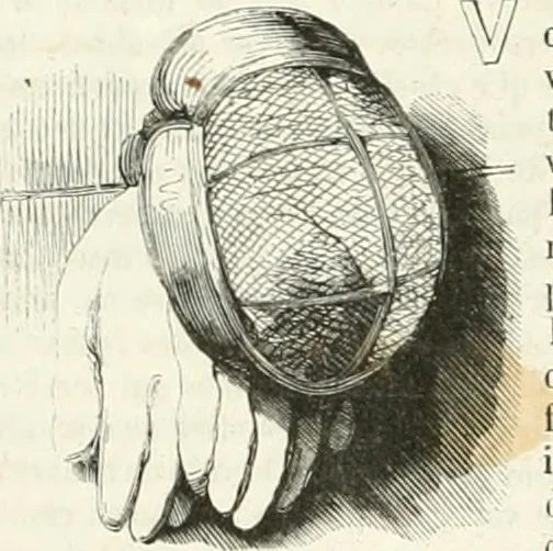 An illustration from Les Français peints par eux-mêmes, 1853, leaf 747
