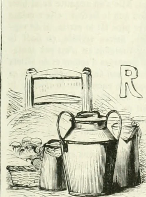 An illustration from Les Français peints par eux-mêmes, 1853, leaf 752