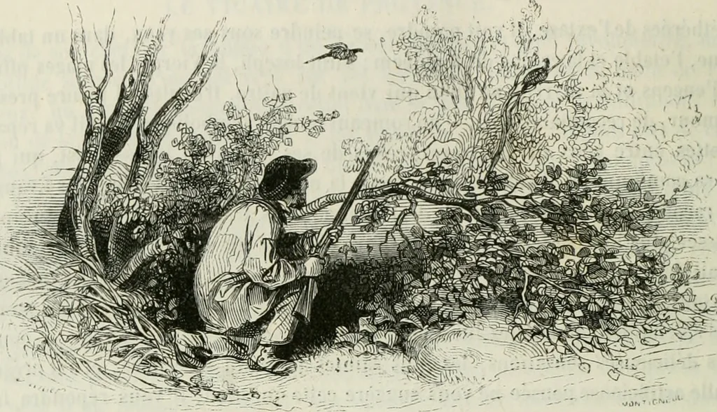 An illustration from Les français peints par eux-mêmes : encyclopédie morale du dix-neuvième siècle, 1840, leaf 145