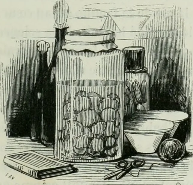 An illustration from Les français peints par eux-mêmes : encyclopédie morale du dix-neuvième siècle, 1840, leaf 16
