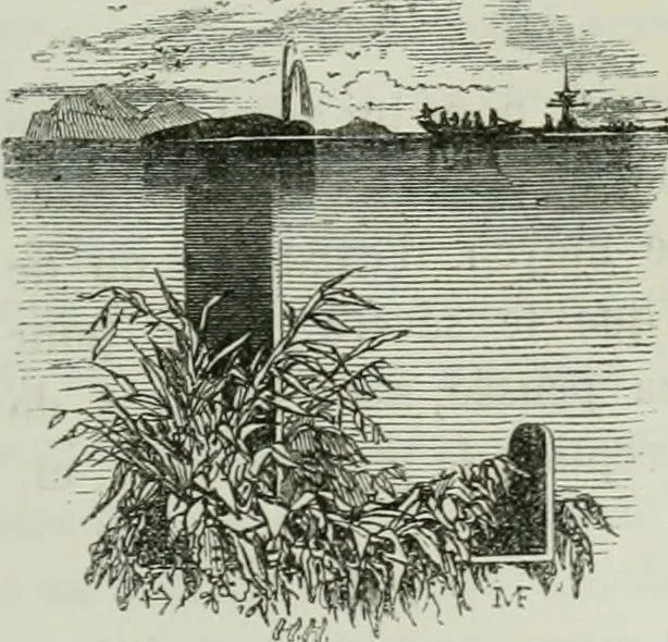 An illustration from Les français peints par eux-mêmes : encyclopédie morale du dix-neuvième siècle, 1840, leaf 226