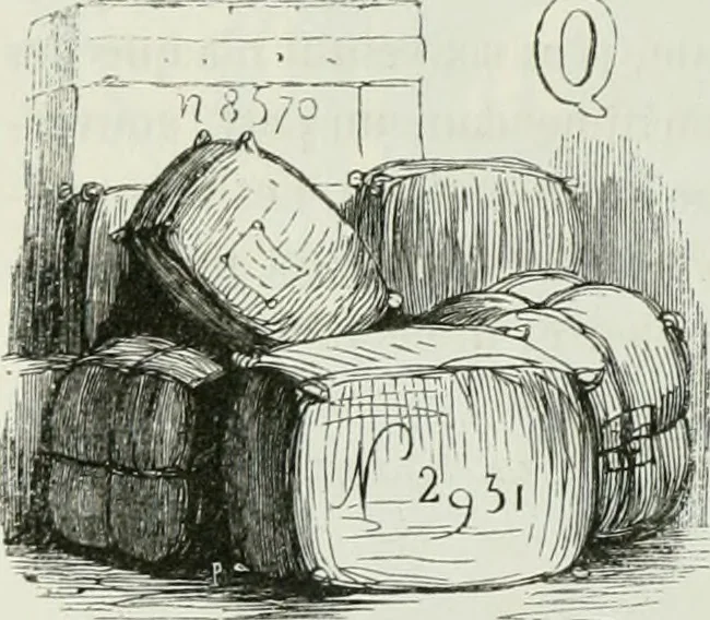 An illustration from Les français peints par eux-mêmes : encyclopédie morale du dix-neuvième siècle, 1840, leaf 257