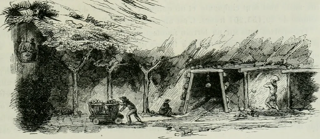 An illustration from Les français peints par eux-mêmes : encyclopédie morale du dix-neuvième siècle, 1840, leaf 438